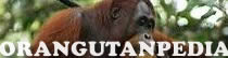 Orangutanpedia
